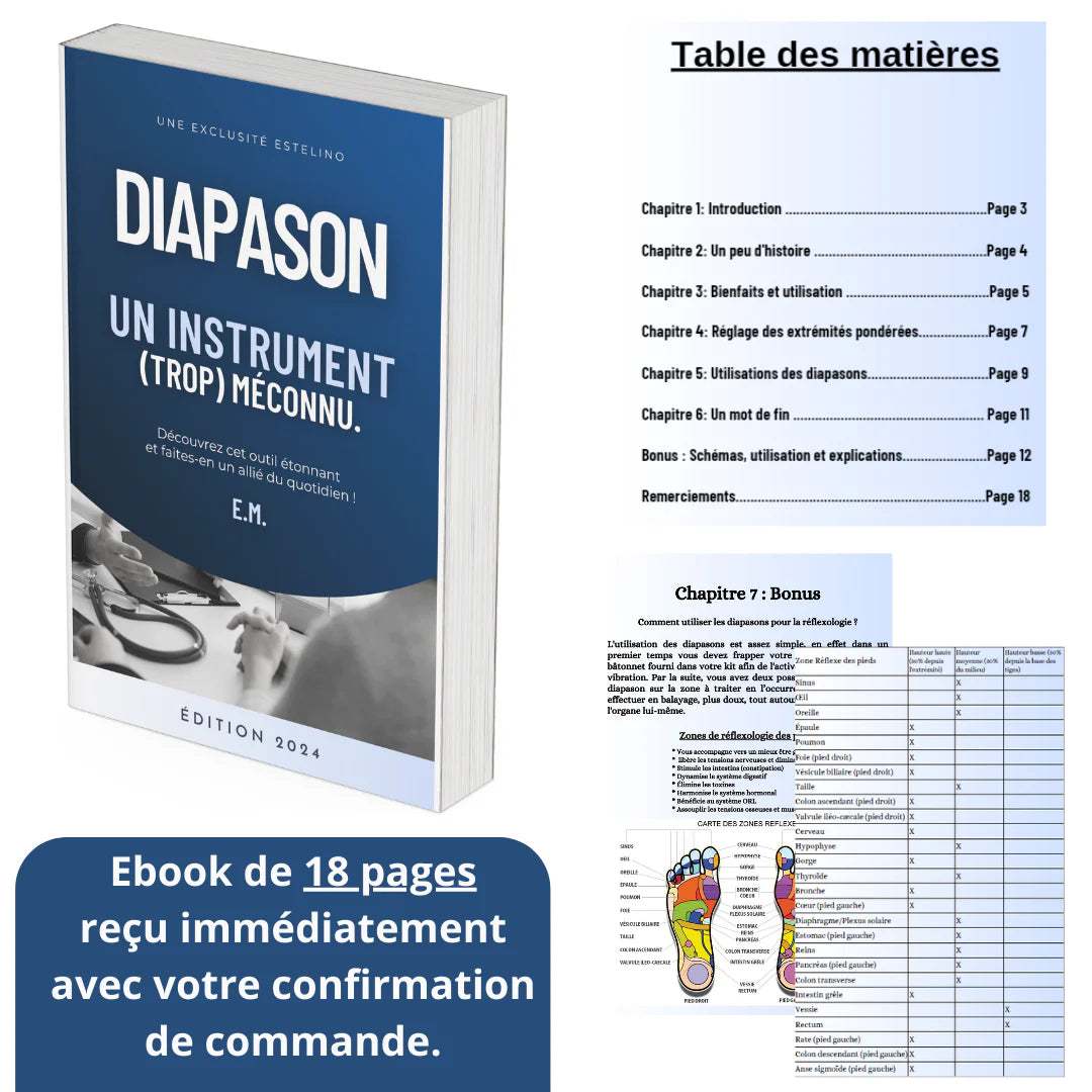 🎁Ebook : Diapason | Un instrument (trop) méconnu.